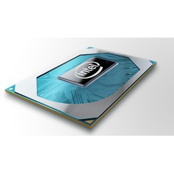 Intel Celeron G6900